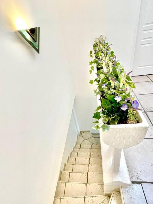 Charmante Villa Pour 10 Personnes Saint-Augustin  Εξωτερικό φωτογραφία